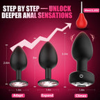 4PCS Anal Training Kit Anal Plug Adult Sex Toys, Silicone Vibrating Butt Plug with 10 Vibration, Remote Control Dildo Vibrator Butt Plug Set for Beginners, Advanced Users for Men Women Couples